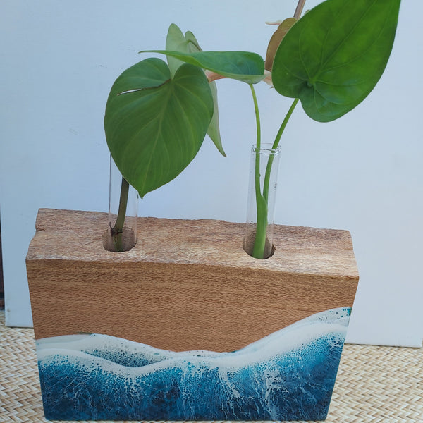 Double Coastal Inspired Plant Propagation Stand